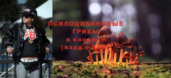 прущие крисы Алексин